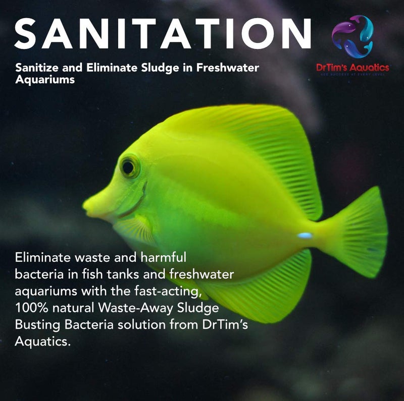 DrTim's Aquatics Freshwater Waste-Away Sludge Busting Solution â€“ for Freshwater Aquaria, Fish Tanks, Aquariums â€“ Unclogs, Cleans Gravel Beds, Removes Hidden Wastes â€“ 100% Natural â€“ 32 oz. - Image 3